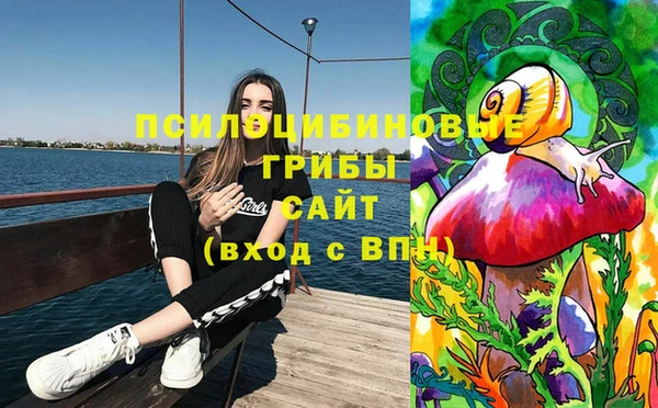 прущая мука Елабуга